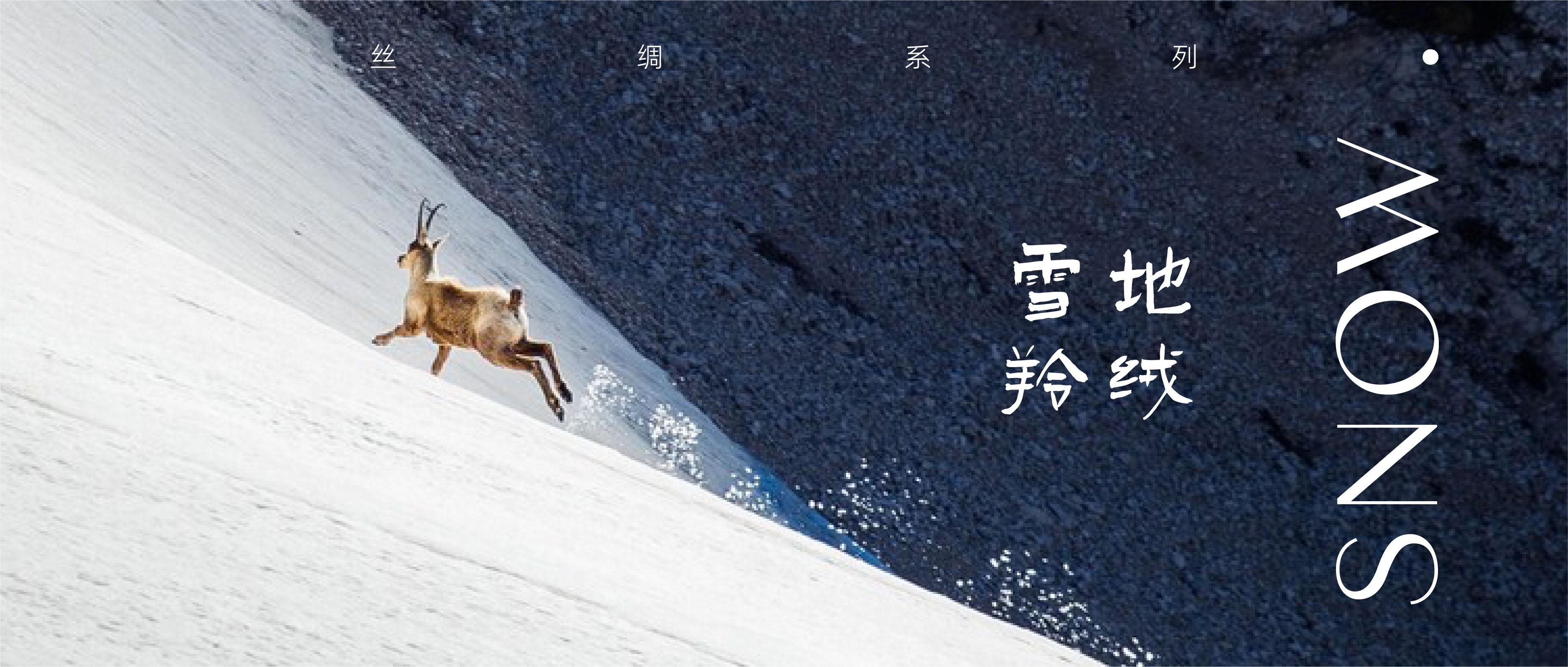 ARD ‖ CREATIVE ARD SNOW 雪地羚绒·丝绸系列