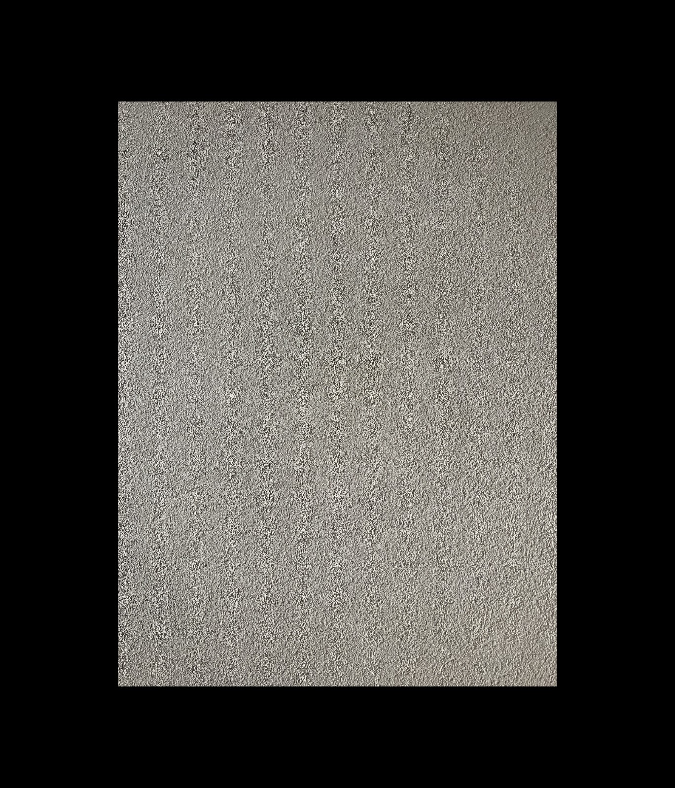 95381862.jpg