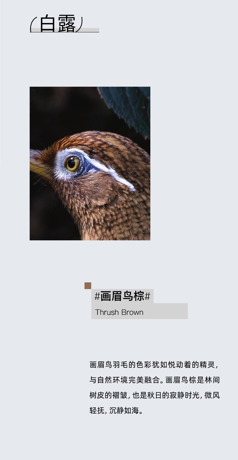25020811.jpg