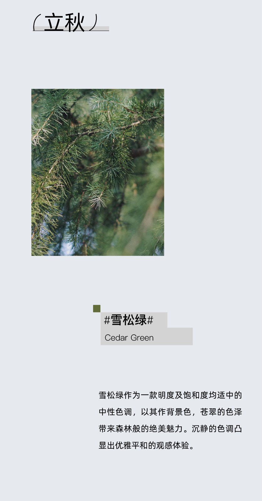 53153523.jpg