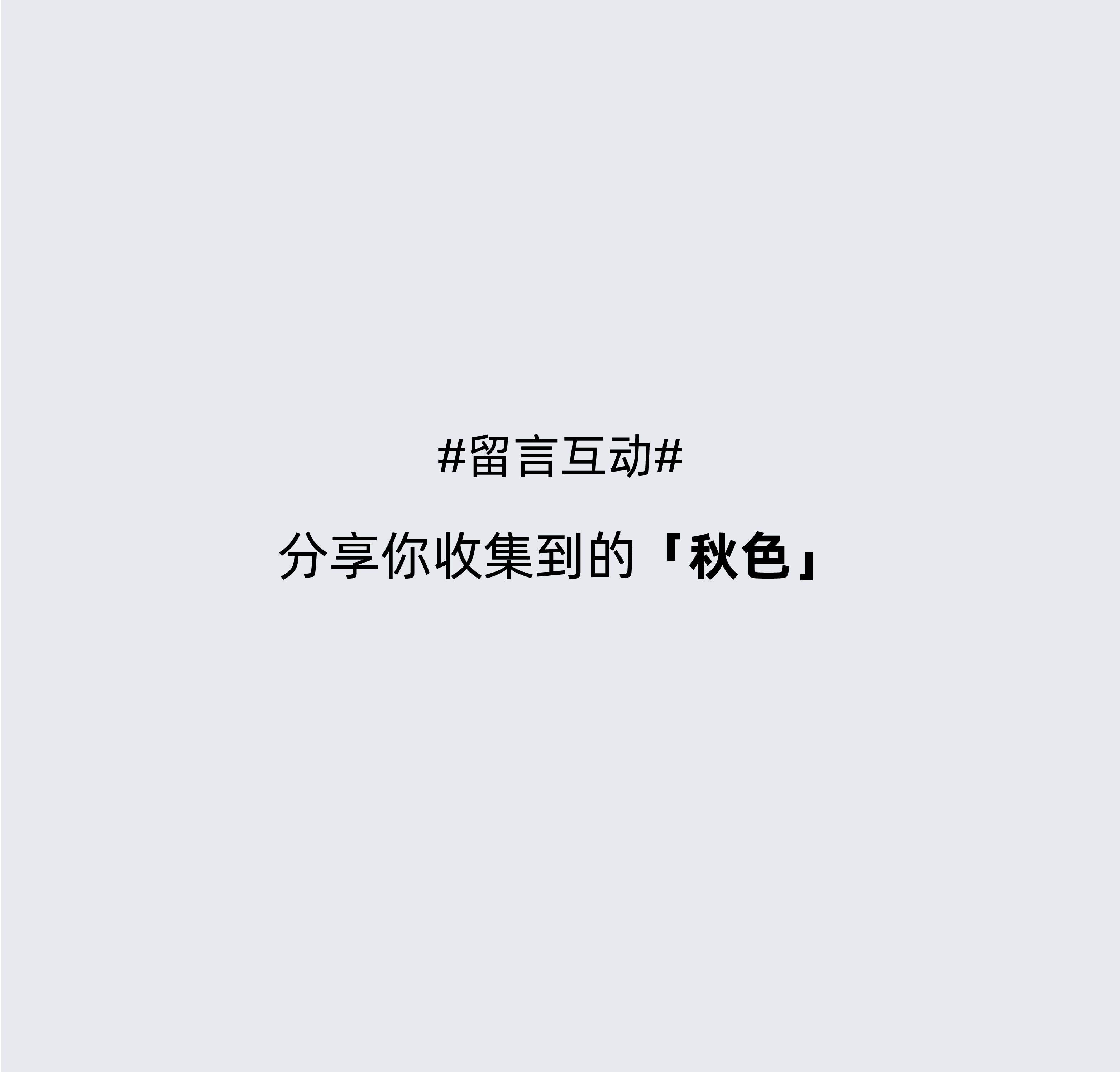 85020622.jpg
