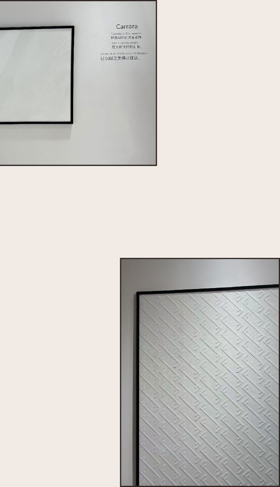 23864835.jpg