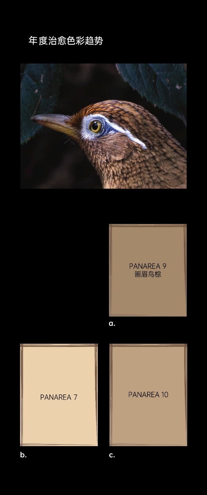 40707948.jpg