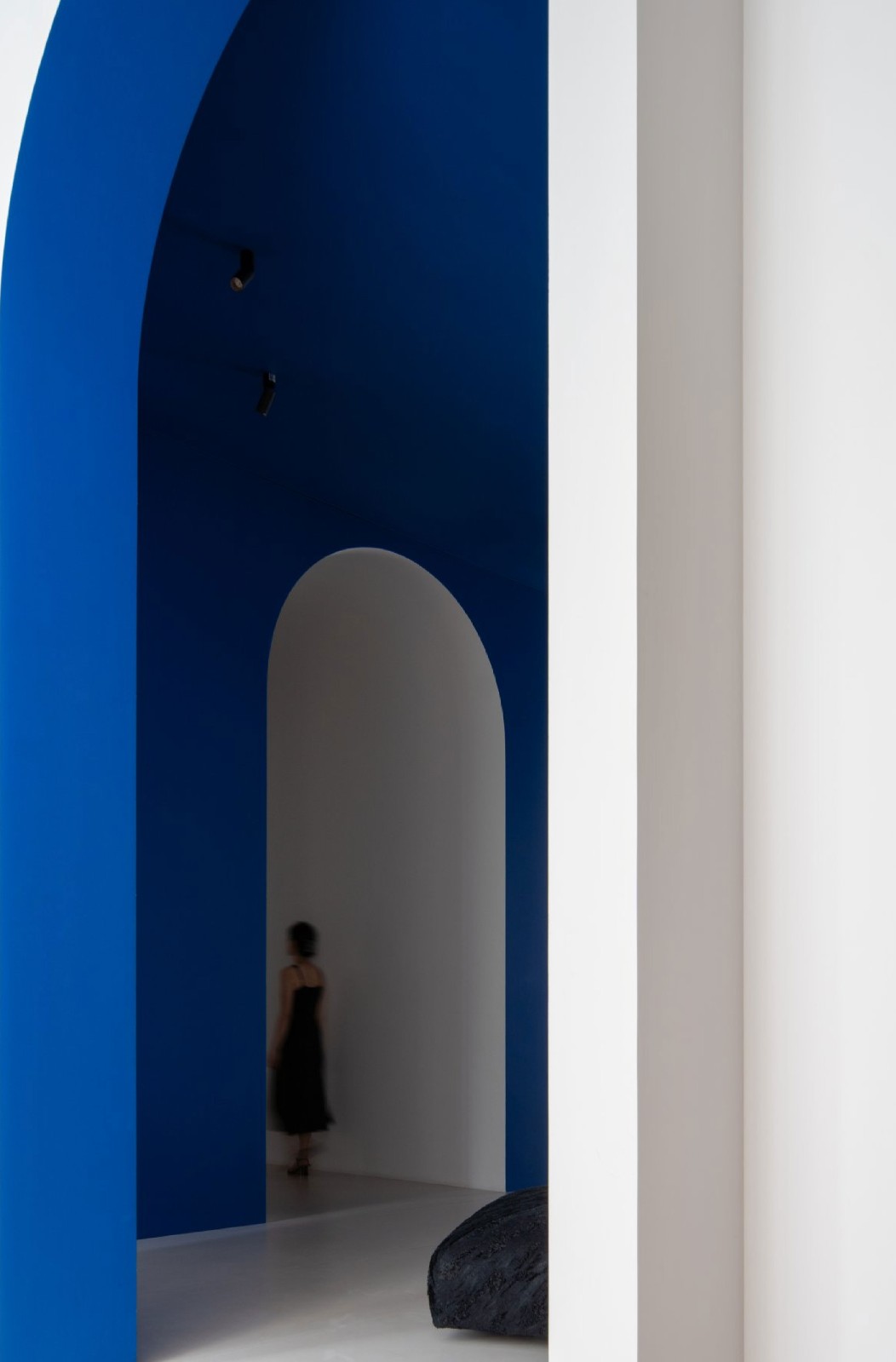 43162842.jpg