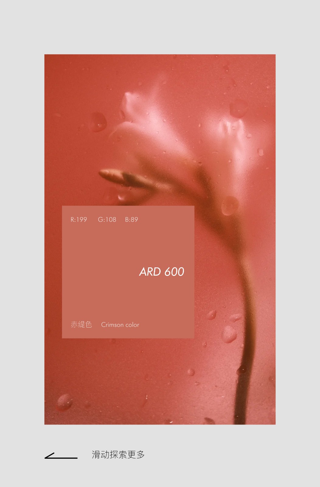 48108502.jpg