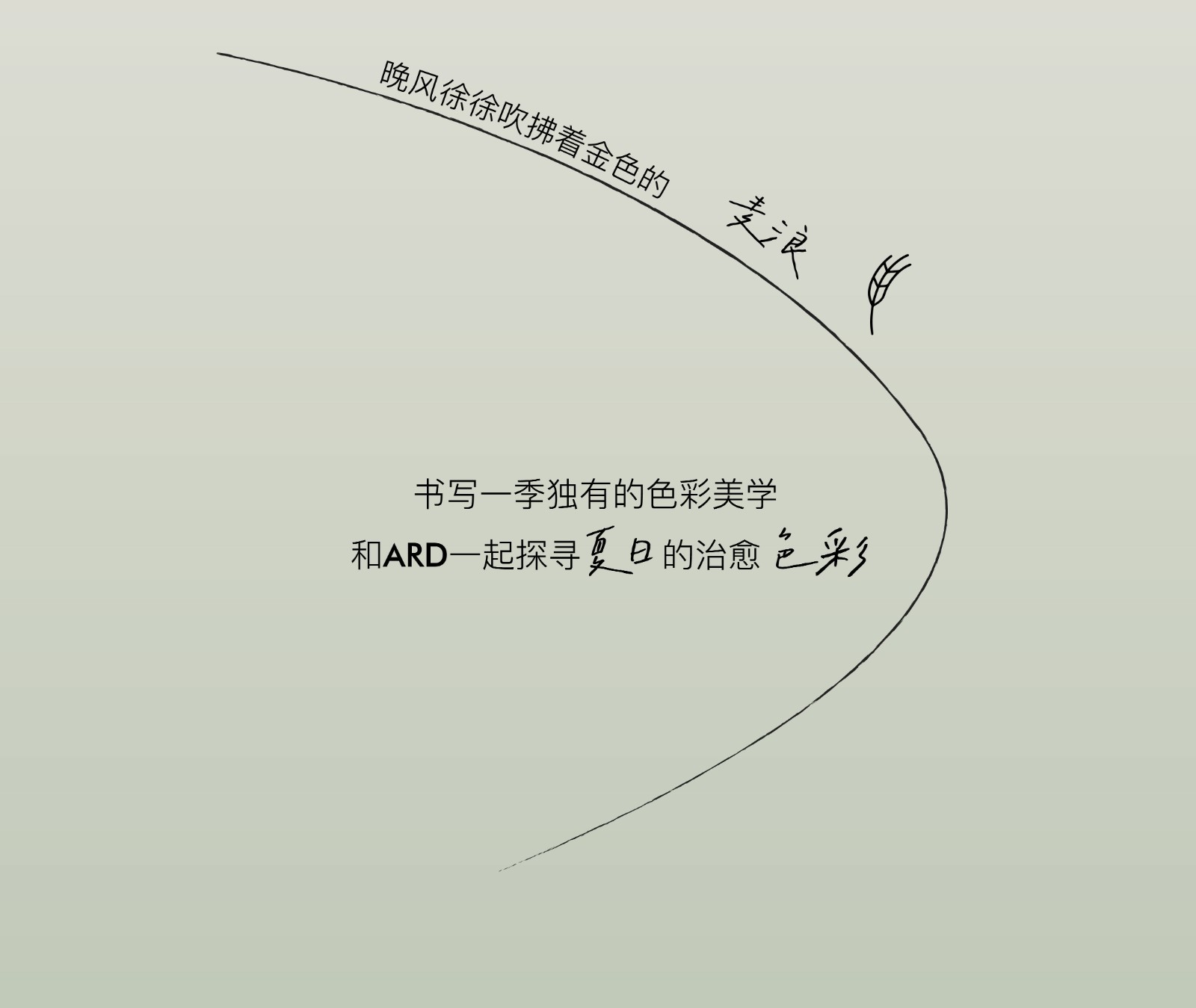 32243766.jpg