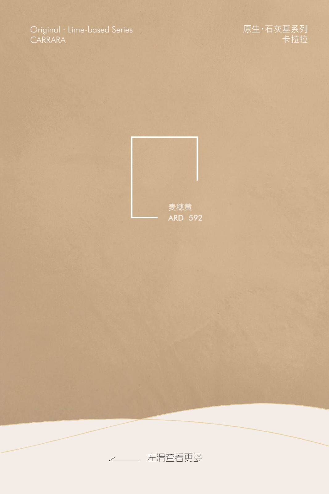 98894205.jpg